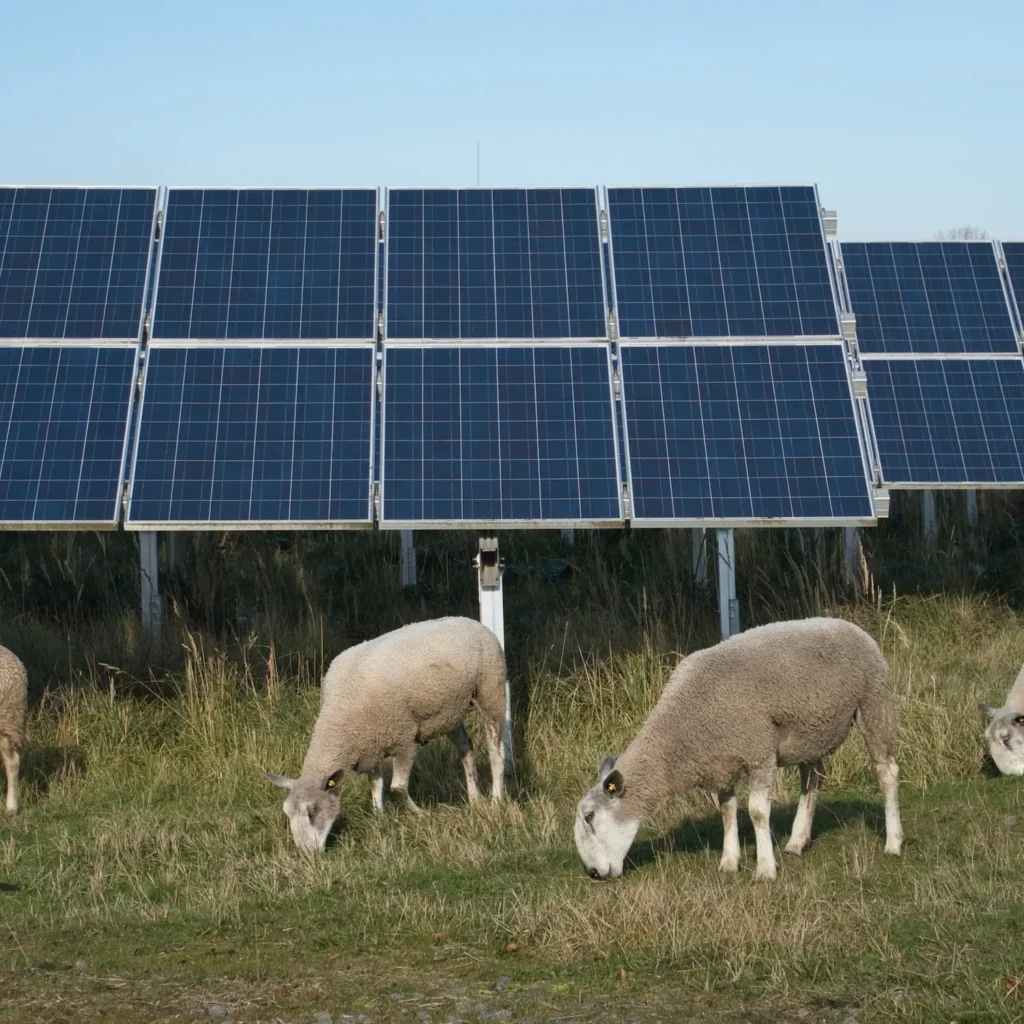 ferme solaire artyseo